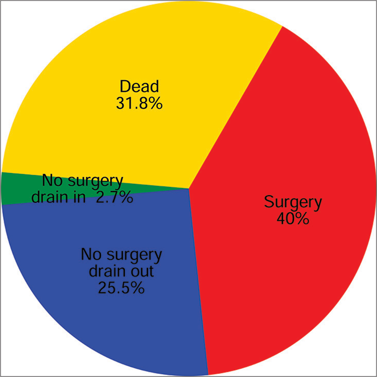 One-year outcome following percutaneous cholecystostomy. Follow-up data was available for 110 of 132 patients.